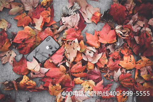 (400電話辦理一個多少錢)(400電話辦理)