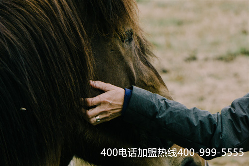 (有沒有必要辦理400電話)(400電話申請如何找靠譜的公司？得看公司這幾點)