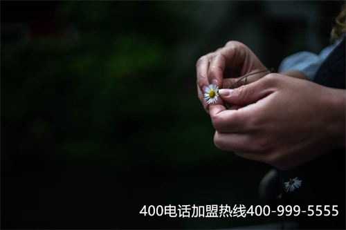 (400電話查詢網)(400電話是查什么的)