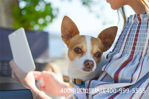 (哪里辦理400電話更加好)(400電話怎么查詢哪里辦理的)