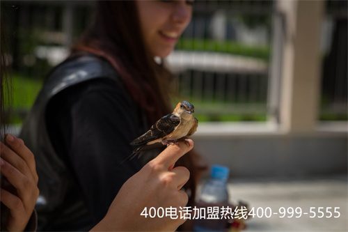 (企業(yè)辦理400電話有用么)(進(jìn)一步規(guī)范的400電話辦理市場(chǎng)受到眾多企業(yè)的歡迎)